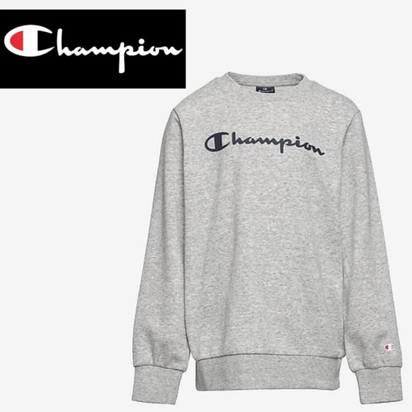 Champion Other - Champion Cotton Fleece Crewneck - Small